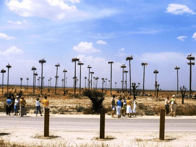 Biuro Podróży EXODUS Sp.j. Ewa i Zbigniew Jaworscy