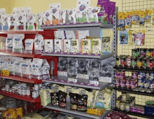 Prywatna Przychodnia dla Zwierząt