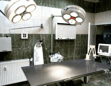 Prywatna Przychodnia dla Zwierząt