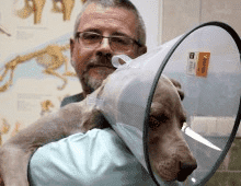 Prywatna Przychodnia dla Zwierząt