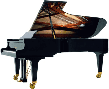 PRO-ROCK Instrumenty Muzyczne s.c.