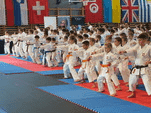 Krakowski Klub Karate Tradycyjnego