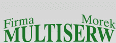 Firma MULTISERW-Morek