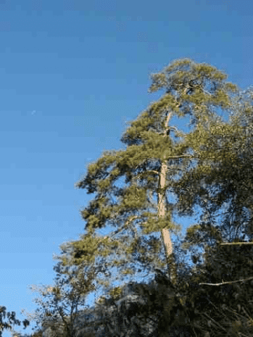 PW Smrek Jacek Ślizowski