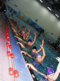 Szkoła Pływania Pana Maćka