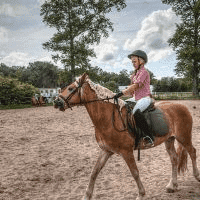 SKIBNO Pensjonat Agroturystyczny, Jeździecki Klub Sportowy