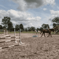SKIBNO Pensjonat Agroturystyczny, Jeździecki Klub Sportowy