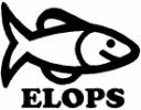 Elops. PRZEDSIĘBIORSTWO HURTU WĘDKARSKIEGO HURT, DETAL. Mielczarek Krystyna