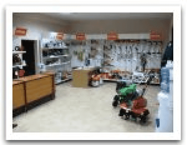 Centrum Ogrodnicze Ilex Roman Marek Barwicki