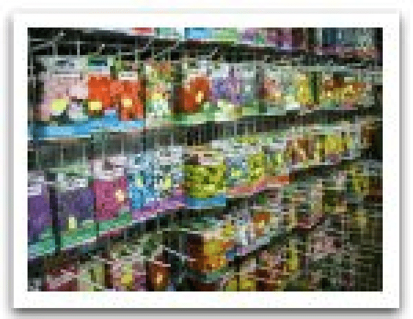 Centrum Ogrodnicze Ilex Roman Marek Barwicki