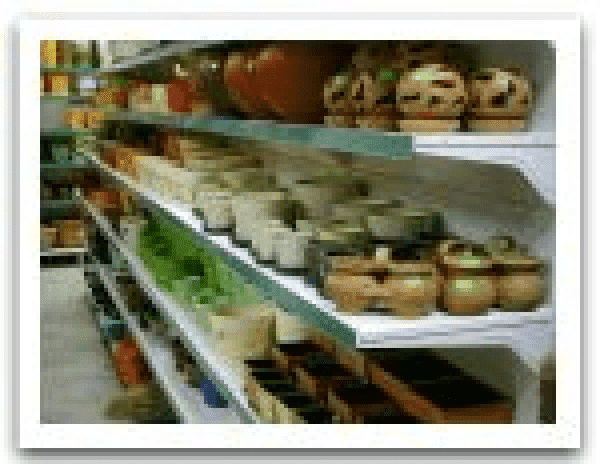 Centrum Ogrodnicze Ilex Roman Marek Barwicki