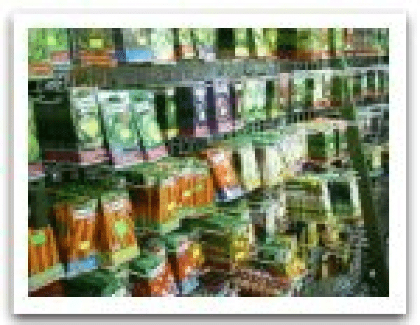 Centrum Ogrodnicze Ilex Roman Marek Barwicki