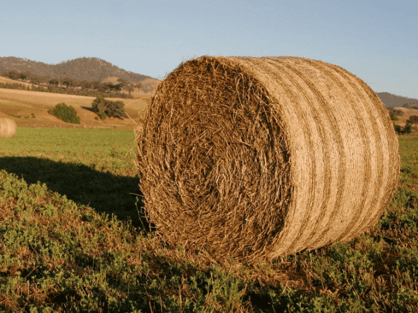 PRZEDSIĘBIORSTWO PRODUKCYJNO-HANDLOWO-USŁUGOWE MAŁGORZATA CEBERNIK