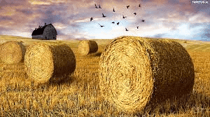 PRZEDSIĘBIORSTWO PRODUKCYJNO-HANDLOWO-USŁUGOWE MAŁGORZATA CEBERNIK