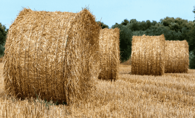 PRZEDSIĘBIORSTWO PRODUKCYJNO-HANDLOWO-USŁUGOWE MAŁGORZATA CEBERNIK