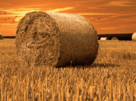 PRZEDSIĘBIORSTWO PRODUKCYJNO-HANDLOWO-USŁUGOWE MAŁGORZATA CEBERNIK