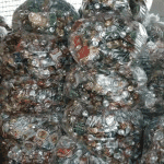 Miedziak Krzysztof Bronowicki