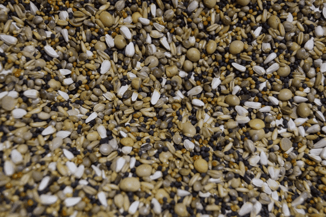 Firma Handlowa Bogdan Chmiel