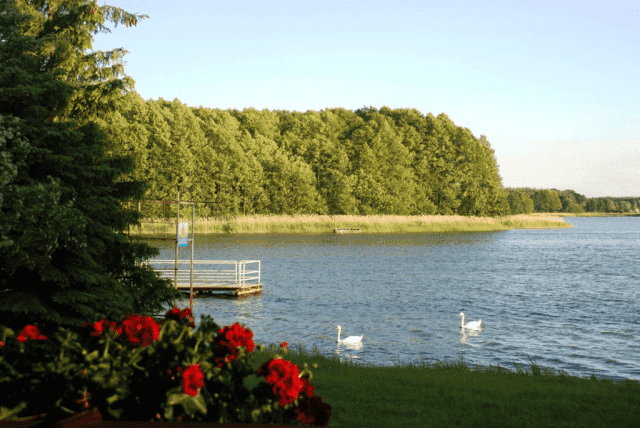 Kompleks Wypoczynkowy w Kołatce - TEMAR