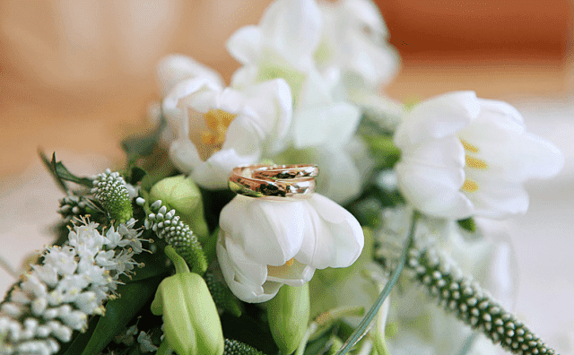 MAGDALENA CIAPAŁA KWIACIARNIA "IRYS"