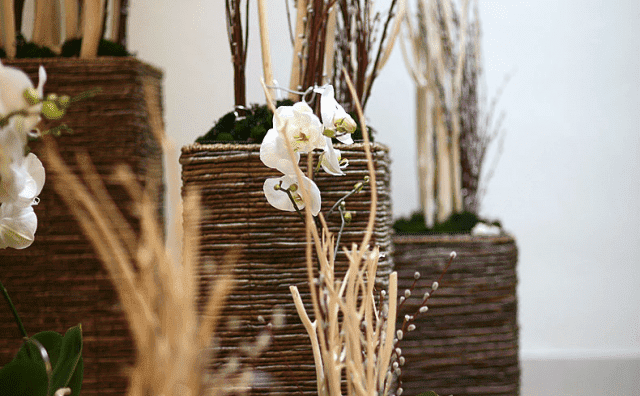 MAGDALENA CIAPAŁA KWIACIARNIA "IRYS"