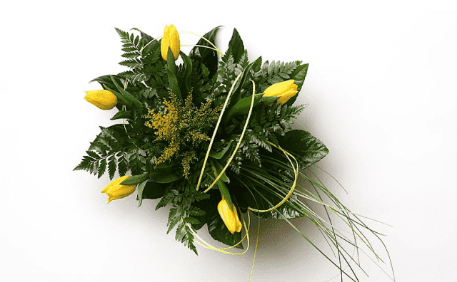 MAGDALENA CIAPAŁA KWIACIARNIA "IRYS"