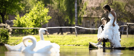 DOROTA STUDIO Dorota Jóźwik