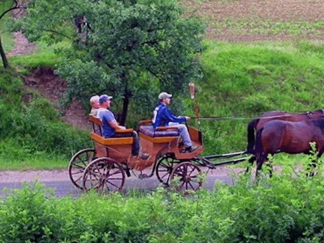 PODKÓWKA DANUTA AGROTURYSTYKA