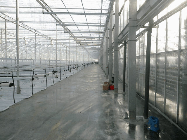 	POSADZKI MASZYNOWE SZYMON MAĆKOWIAK