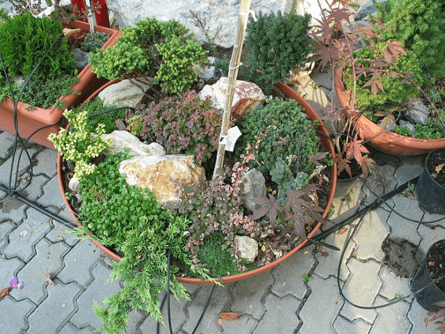 GARDENLAND s.c Kraina Ogrodów