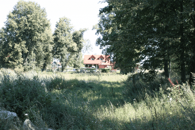 Wypoczynek Pod Lipami Dorota Bogucka