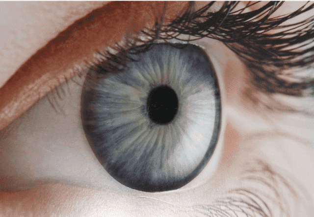  ZAKŁAD USŁUG OFTALMICZNYCH. Optyk Alicja Krasoń