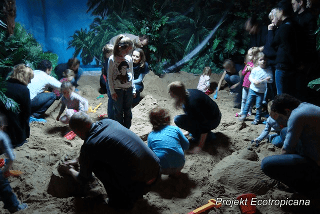 Projekt Ecotropicana Centrum edukacyjno rekreacyjne