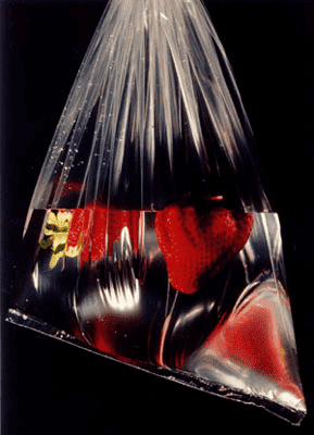 Zakład Produkcji Folii JAGAPOL S.c. Zofia i Janusz Sioda