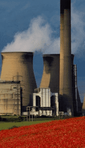 HANDEL ZAGRANICZNY MANAGING DIRECTOR GRZEGORZ ŻUK