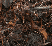 Przedsiębiorstwo Obrotu Surowcami Wtórnymi AMEBA Adam Kopyra