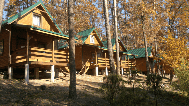 Salezjański Ośrodek Młodzieżowy "Oratorium Dominik"