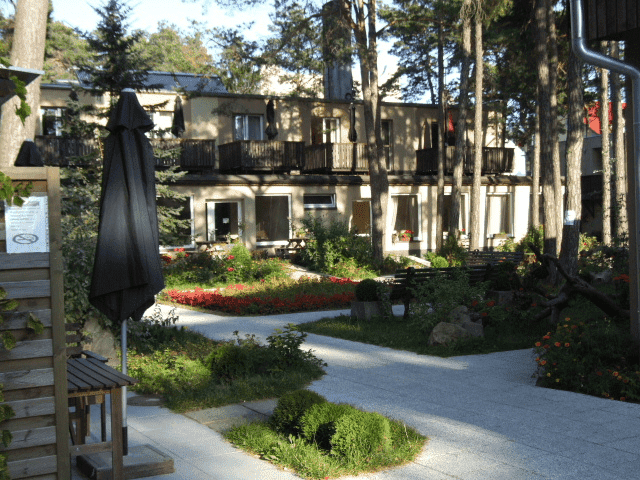 W Sosnowym Lesie. Ośrodek wczasowy.