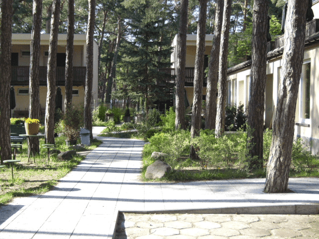 W Sosnowym Lesie. Ośrodek wczasowy.