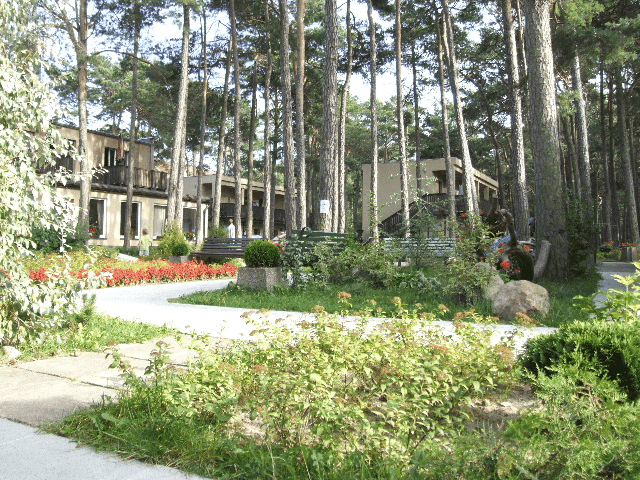 W Sosnowym Lesie. Ośrodek wczasowy.