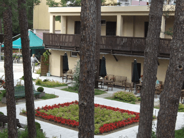 W Sosnowym Lesie. Ośrodek wczasowy.