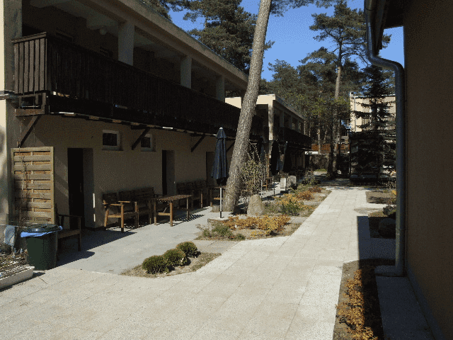 W Sosnowym Lesie. Ośrodek wczasowy.