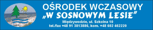 W Sosnowym Lesie. Ośrodek wczasowy.