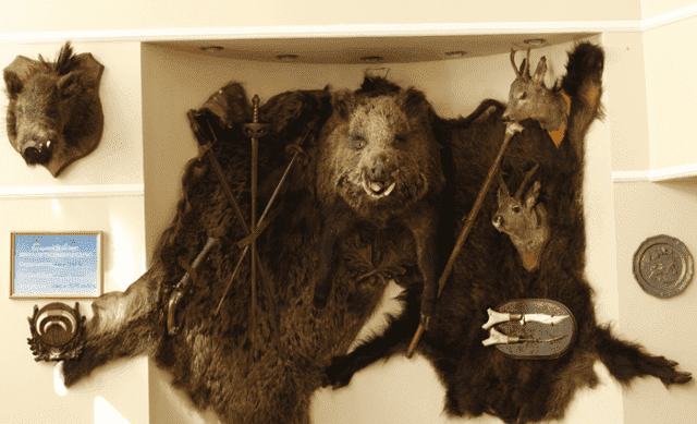 Restauracja-Pierogarnia U DZIKA J.K.P. S.c.