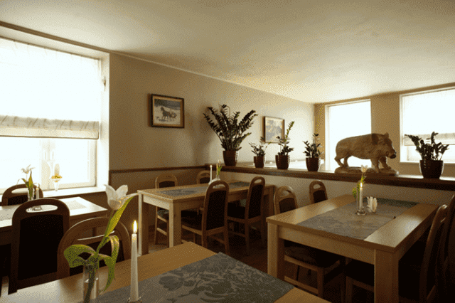 Restauracja-Pierogarnia U DZIKA J.K.P. S.c.