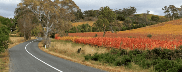 PPHU TRANS-WOOD Sp. z o.o.