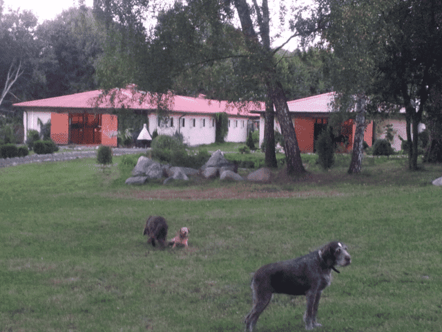 EQUITA KRZYSZTOF TOMASZEWSKI