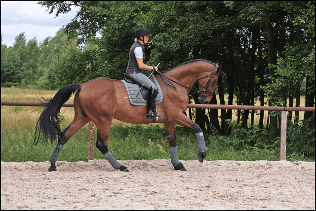 EQUITA KRZYSZTOF TOMASZEWSKI