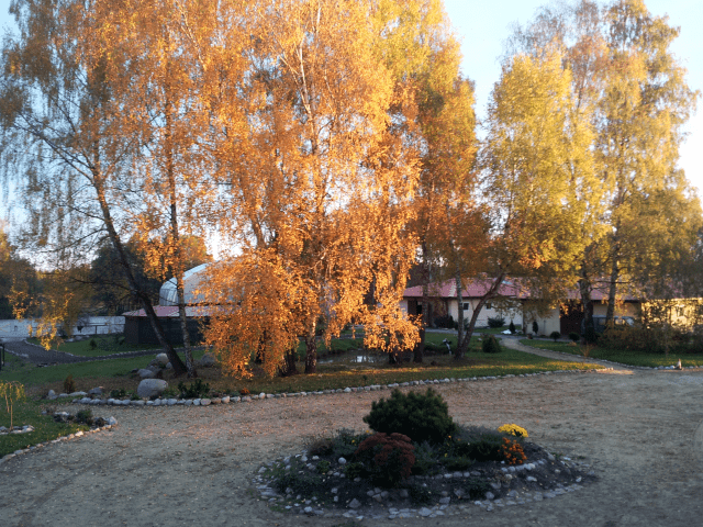 EQUITA KRZYSZTOF TOMASZEWSKI