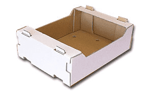 "KARTONEX" LESZEK KOBUS